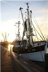 Museumshafen in Büsum am Morgen 05