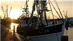 Museumshafen in Büsum am Morgen 06