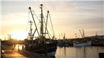 Museumshafen in Büsum am Morgen 10