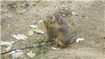 DSC01915